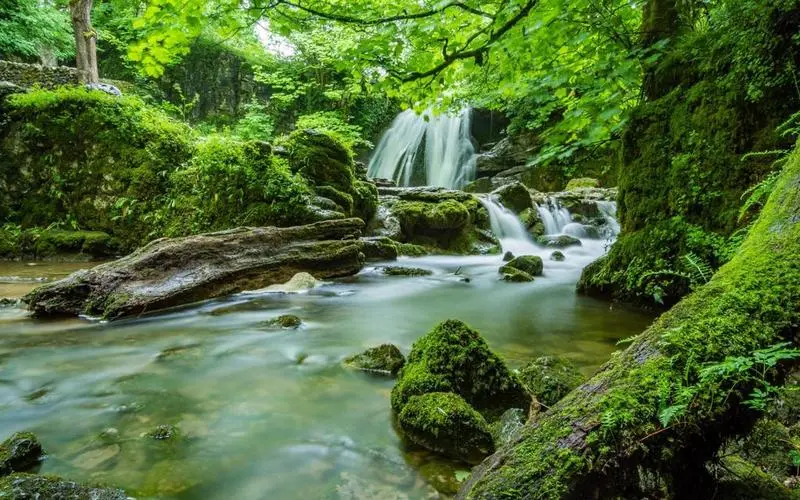 高效高质量全自动